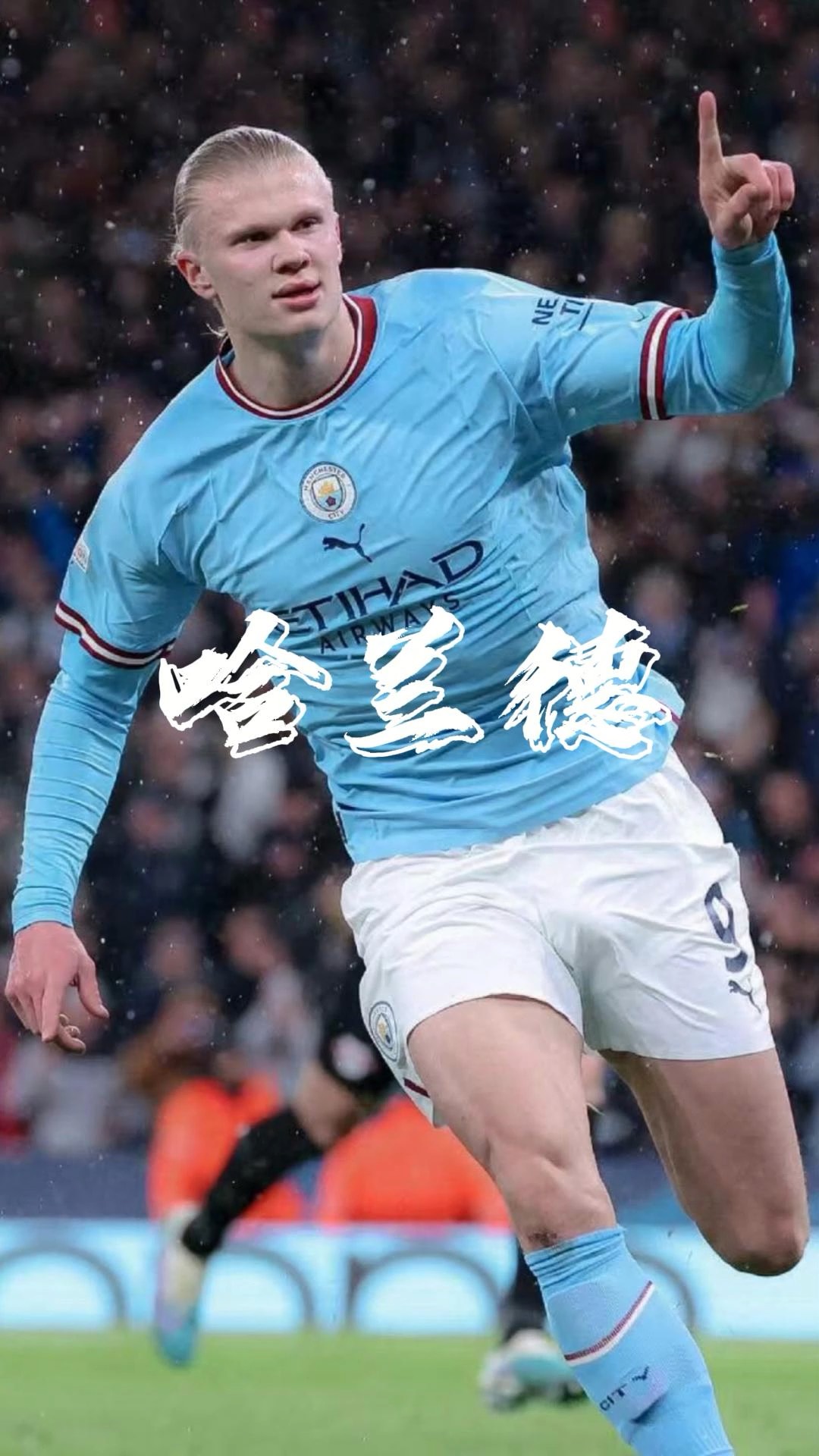 国际棒球迎 国际棒球迎